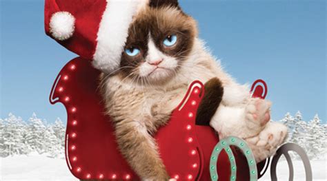 Grumpy Cat Christmas Wallpaper - WallpaperSafari