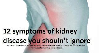 12 Symptoms of Kidney Disease You Should Not Ignore | Kamisulat