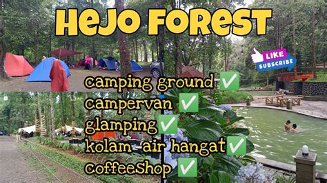 HEJO FOREST CIWIDEY | CAMPING GROUND BANDUNG| CAMPERVAN | GLAMPING ...