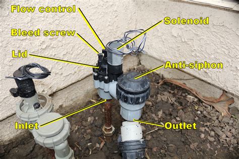 How To Open Rain Bird Sprinkler System - Bird Walls