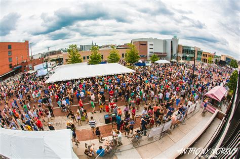 Top 10 summer music festivals in Michigan: The Local Spins List