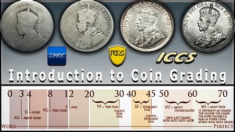 How to Grade Coins: Begginers Guide to the Sheldon Scale, Numismatics ...