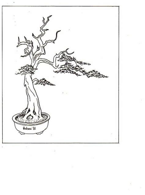 Sketsa Bonsai - Satu Trik