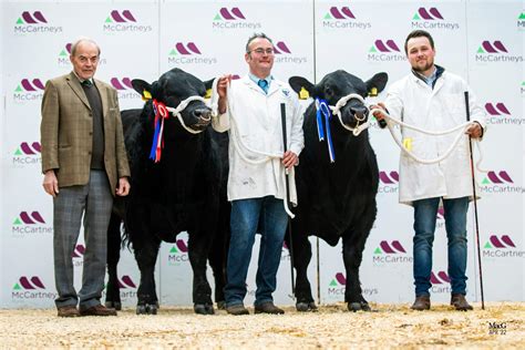 Aberdeen-Angus Show at Worcester Market 15th April 2023 - Aberdeen ...