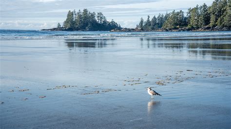 Top 10 Best Vancouver Island Beaches To Visit