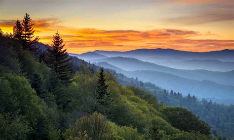 Road Trip Week: Great Smoky Mountains Road Trip Itinerary for families