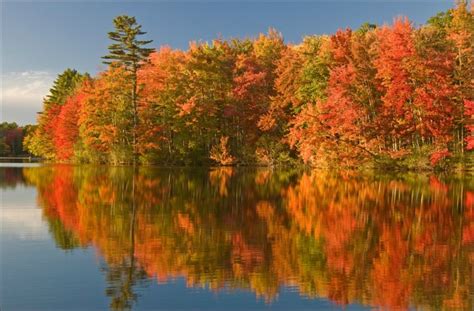 Dreaming in Color: Photos of New England Fall Foliage