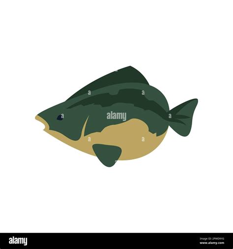 Green fish cartoon illustration Stock Vector Image & Art - Alamy