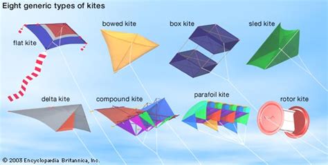 8 Types of Kites and How to Fly Them - EatHappyProject