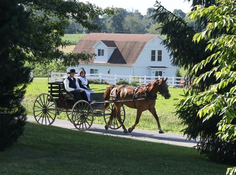 13 Amish Wedding Traditions and Rituals - Wedbuddy