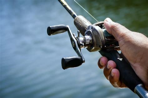 Daiwa Tatula SV TW Fishing Reel Review - Fishing Gear World