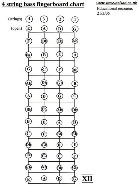 Bass notes - arcadenored