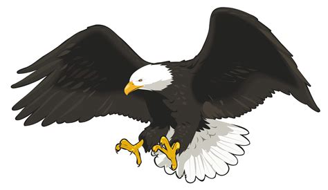 Bald Eagle Clip Art Eagle Transparent Png Clipart Picture Png | Images ...