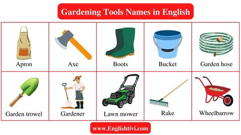 Tools Name In English