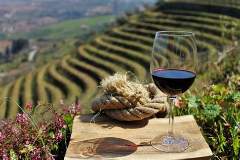 Douro Valley Tour Including 3 Wineries To Small Groups: Triphobo