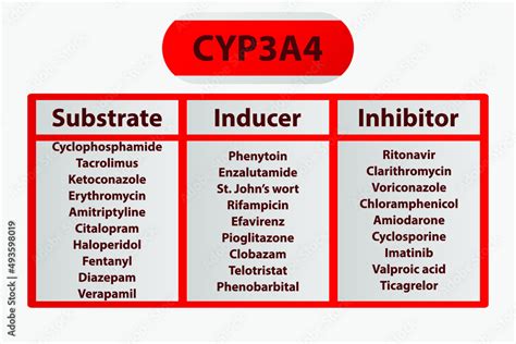 CYP3A4 Cytochrome p450 enzyme pharmaceutical substrates, inhibitors and ...