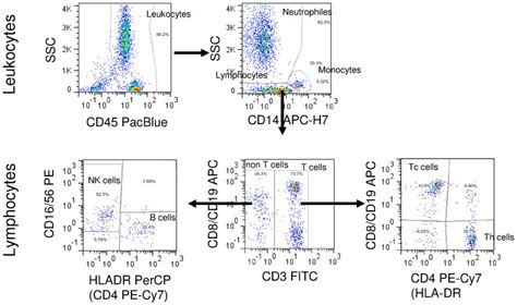 7-color, 9-markers immunophenotyping analysis scheme by flow cytometry ...