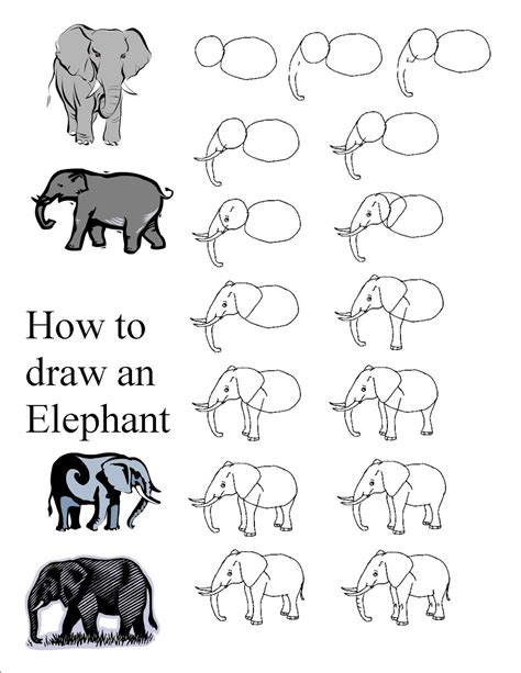 Easy Elephant Drawing Tutorial – Warehouse of Ideas