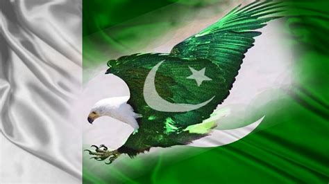 🔥 [25+] Pakistan Flag Wallpapers | WallpaperSafari