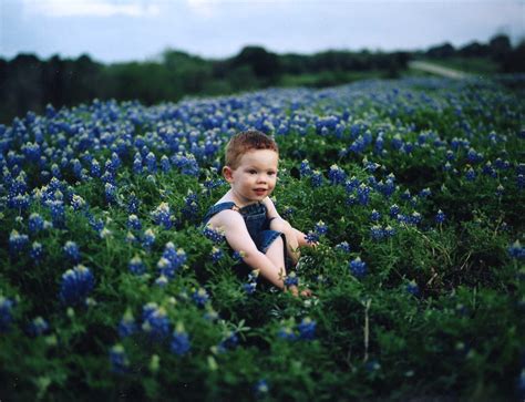 Texas Bluebonnets - Portrait - Photo.net