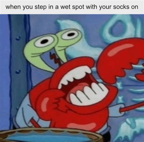 Spongebob Krabs Meme