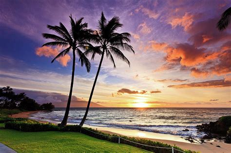 Beach Sunset with Palm trees in Maui, Hawaii Photograph by Nature ...