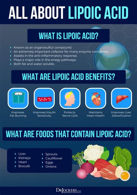 Alpha Lipoic Acid: Key Benefits on Inflammation and Blood Sugar