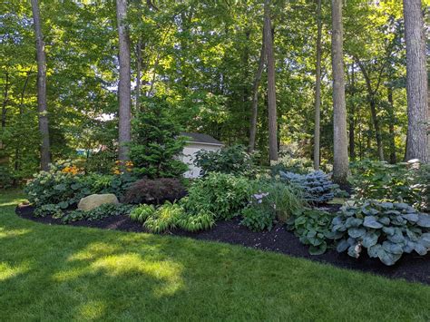 Shady Berm Garden | The Big Little Garden | Nashua, NH