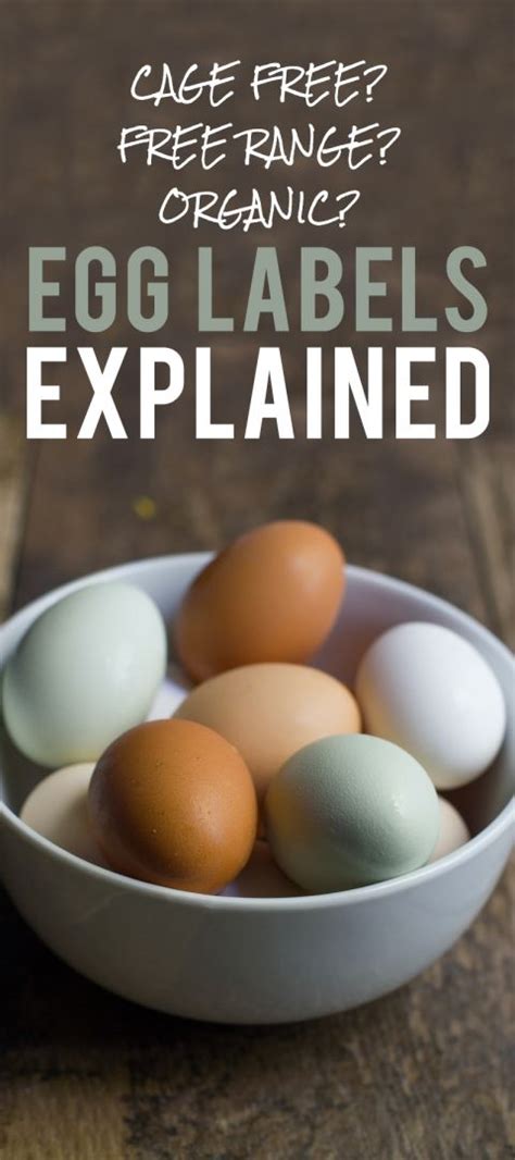 Cage-Free or Free Range: Egg Labels Explained | Gerd recipes, Organic ...