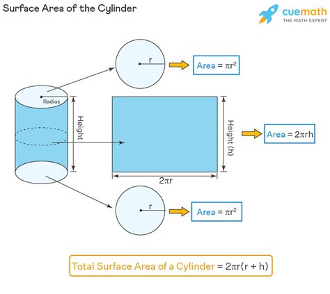 Surface Area of a Cylinder - Formula, TSA and CSA