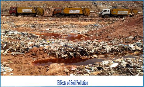 What is the Effect of Soil Pollution - Netsol Water