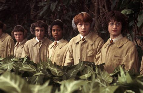 Harry Potter | Exploring Neville Longbottom’s love of Herbology ...