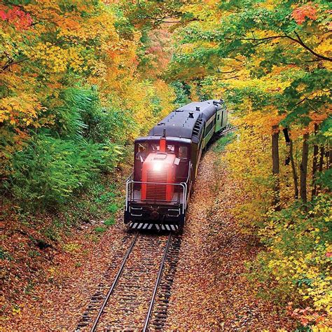 Best Fall Foliage Spots in Connecticut & Beyond