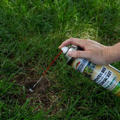 how to get rid of ground bees yellow jackets - Penny Stoing