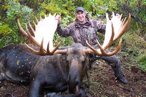 Alaska D&L Outfitters - Moose Hunting