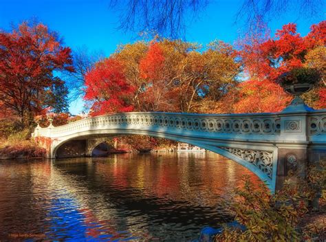 Bow Bridge in Autumn | Central Park Bridges | Cross River Design