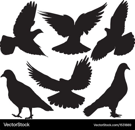 Pigeon Silhouette Royalty Free Vector Image - VectorStock