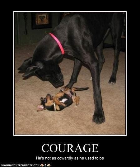 courage - Courage the Cowardly Dog Fan Art (33356784) - Fanpop