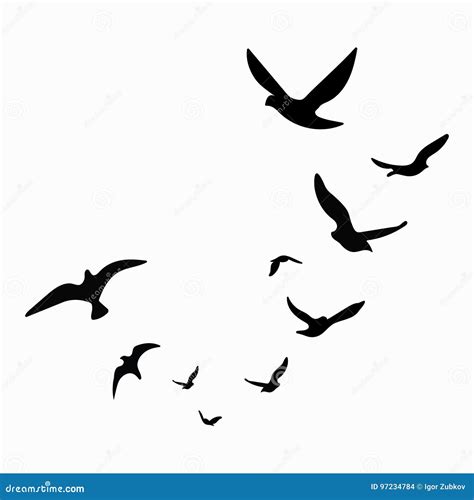 Flock Of Birds Flying Silhouette