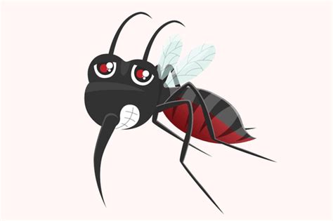 Mosquito Aedes PNG, Vector, PSD, and Clipart With Transparent ...