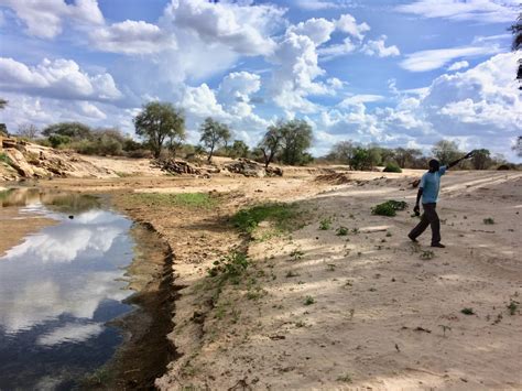 National Lion Survey - Kenya Wildlife Trust