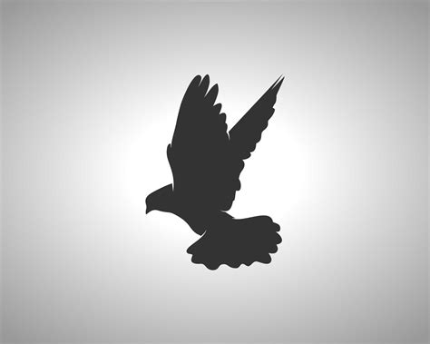 Pigeon Vector Silhouette 21069558 Vector Art at Vecteezy