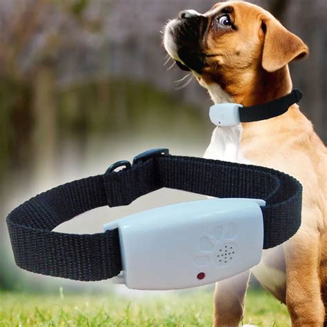 Ultrasonic Adjustable Dog Collar Anti Flea & Tick Pest Lice Electronic ...