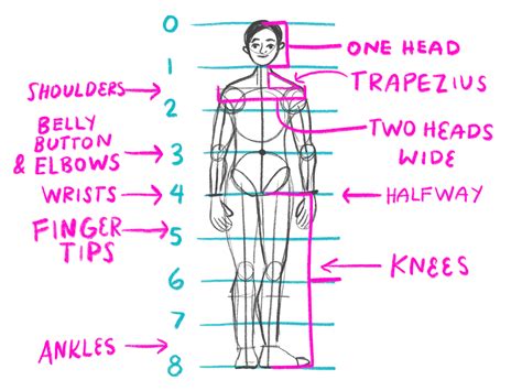 Human Anatomy Drawing Proportions ~ Proportions Drawing Female Figure ...