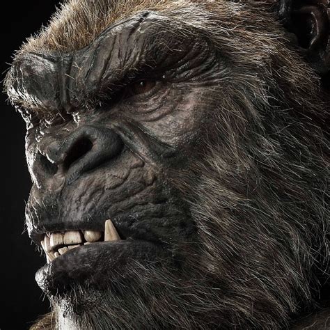 Prime 1 Studio - LSGVK-02 KONG BUST (GODZILLA VS KONG)...