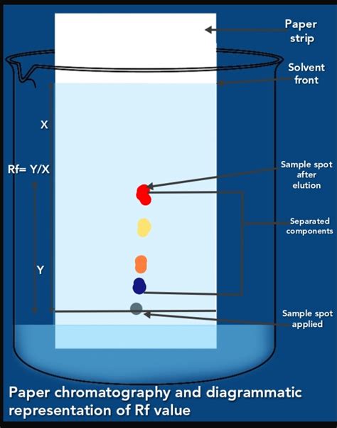 Separation techniques, chromatography its classification and paper ...