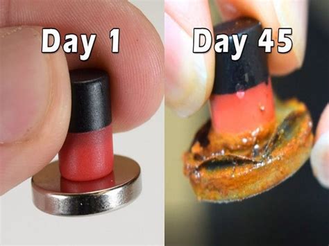 7 Corrosion Examples in Everyday Life – StudiousGuy