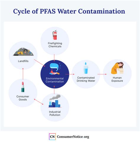 PFAS in Water: What's the Risk?