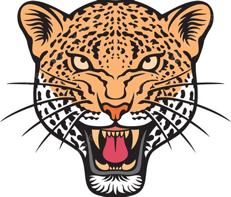 Leopard Face Color Vector Illustration, Cloth, Angry, Furry PNG and ...