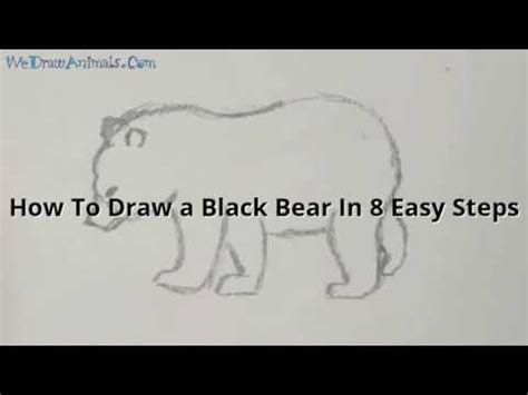 Easy Black Bear Drawing